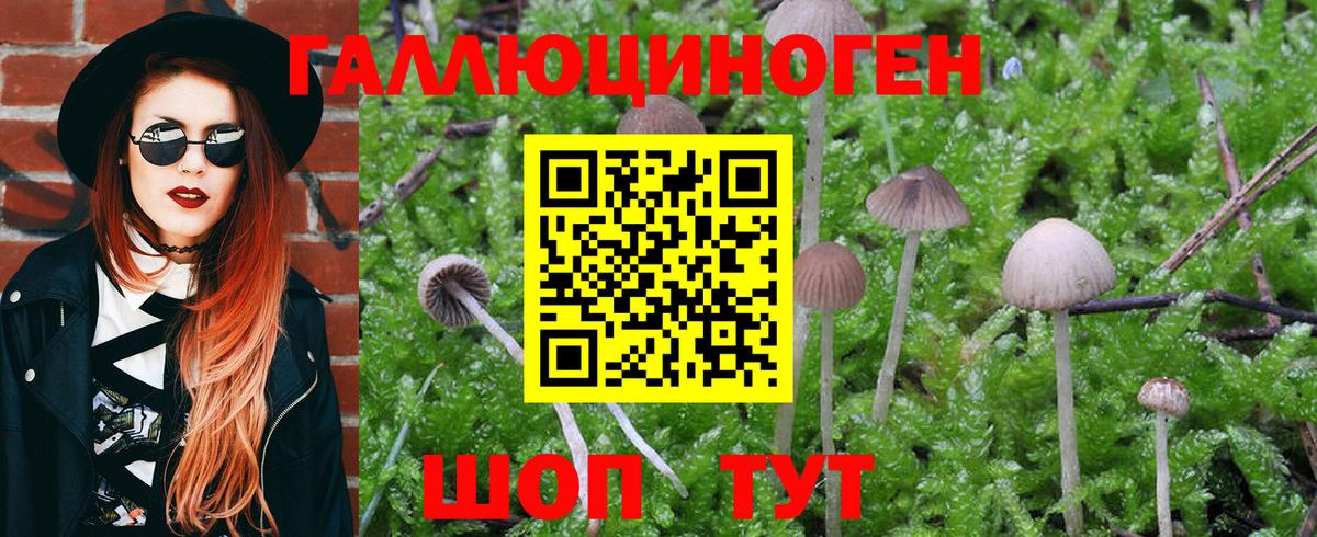 Асбест  Галлюциногенные грибы Magic Shrooms  закладки  Вход с VPN 