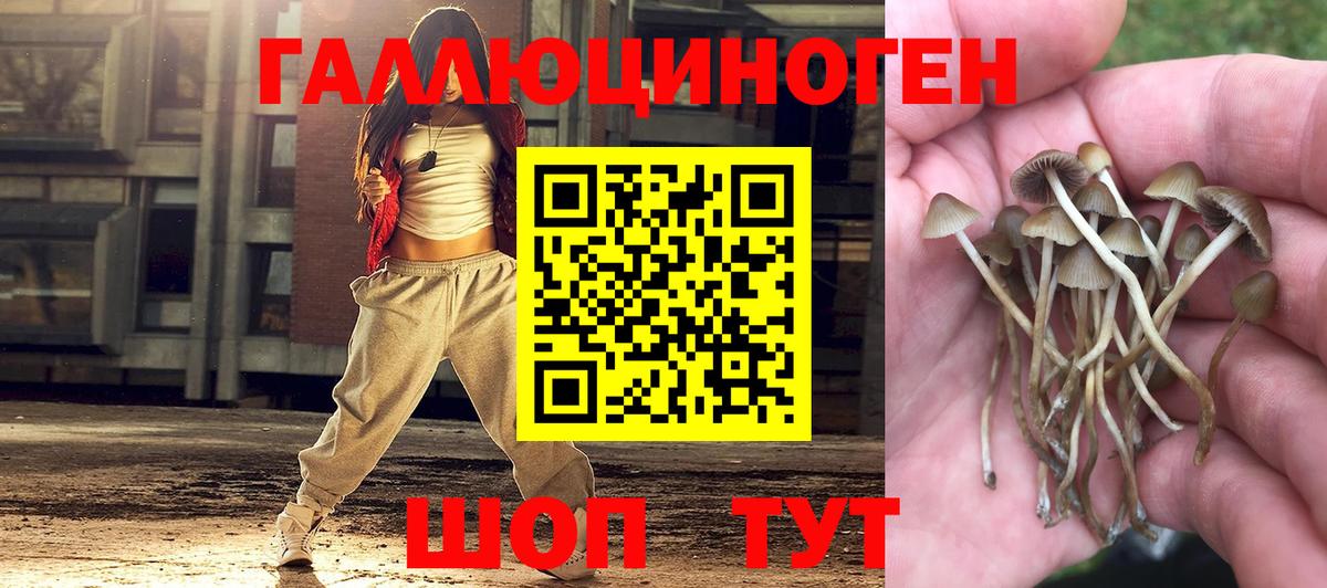Псилоцибиновые грибы мицелий Асбест